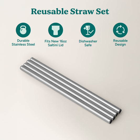 saltini-straw-set-g7 4PK_SaltiniStraws_SS-2.jpg