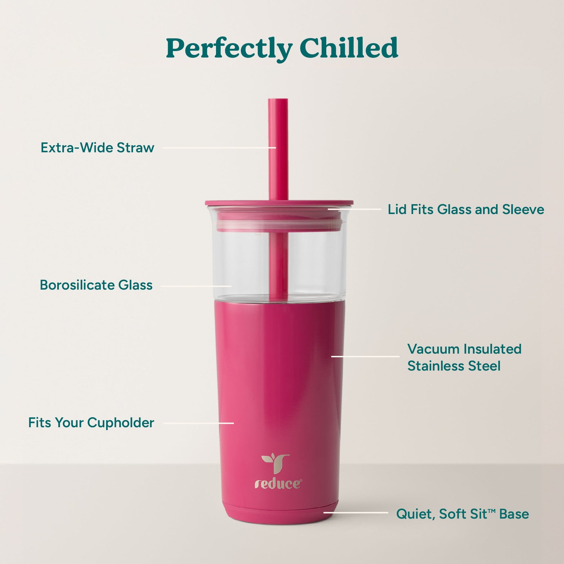 aspen-20-oz-a4 Aspen_Dragonfruit_PDP_Infographic2.jpg