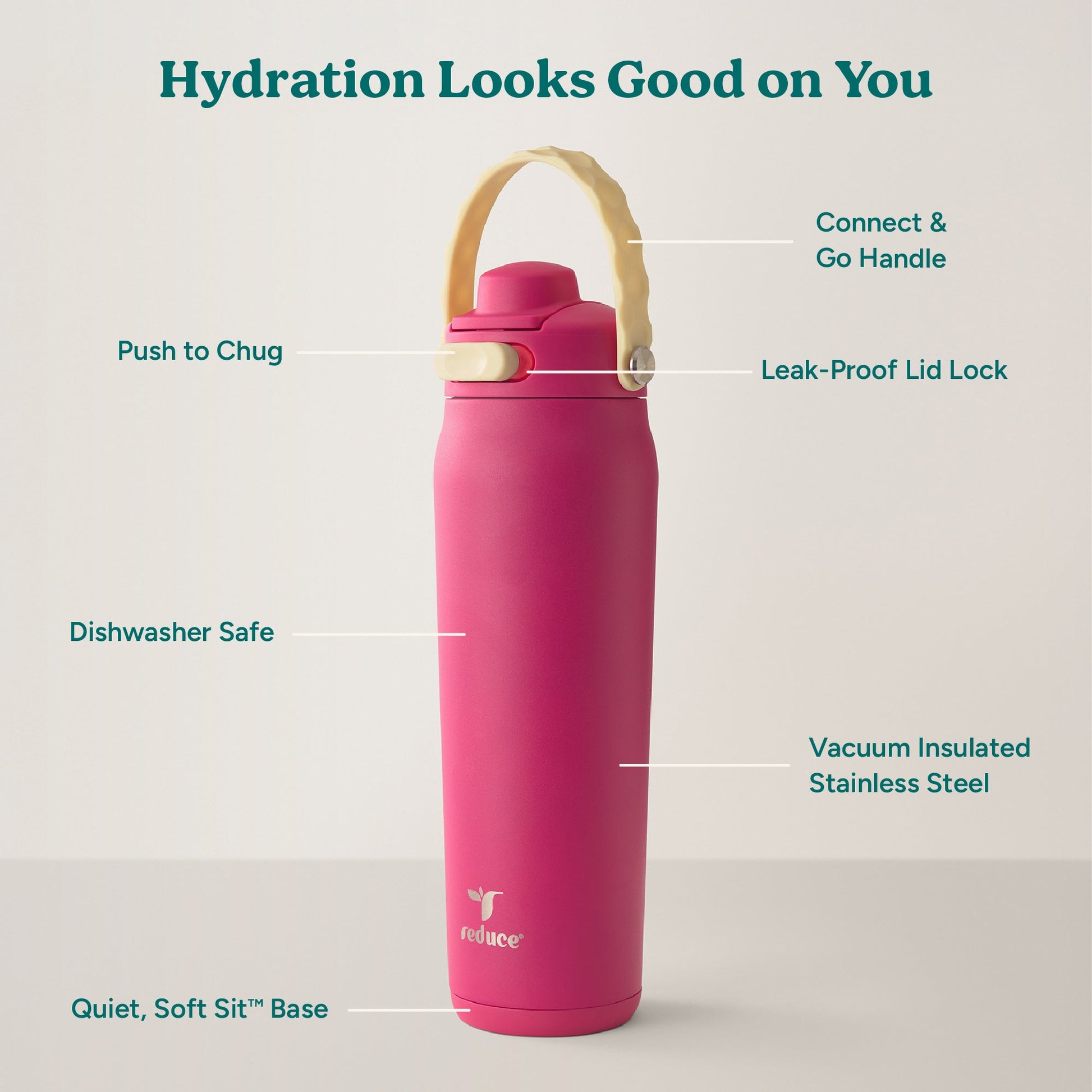 aura-26-oz-l2 Aura_26oz_DragonFruit_PDP_Infographic_2-03.jpg