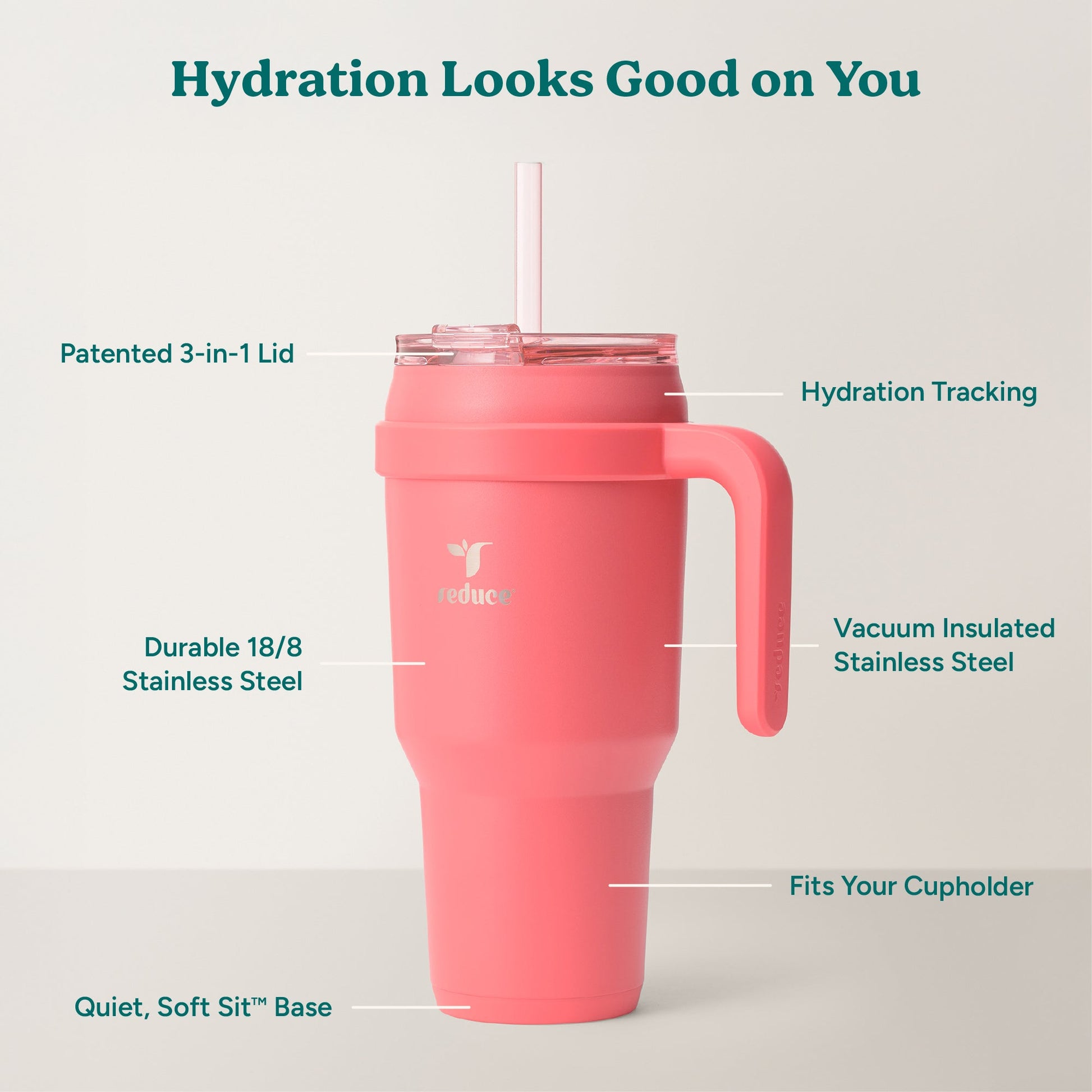 cold1-40-oz-v7 Cold1_40oz_Daiquiri_Infographic_2.jpg