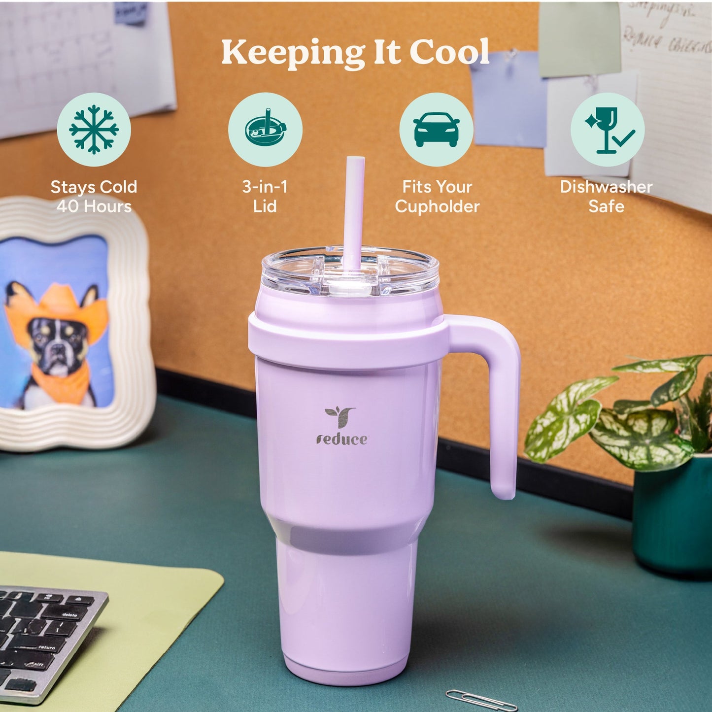 cold1-40-oz-v7 Cold1_40oz_PalmLeaf_Infographic_1.jpg