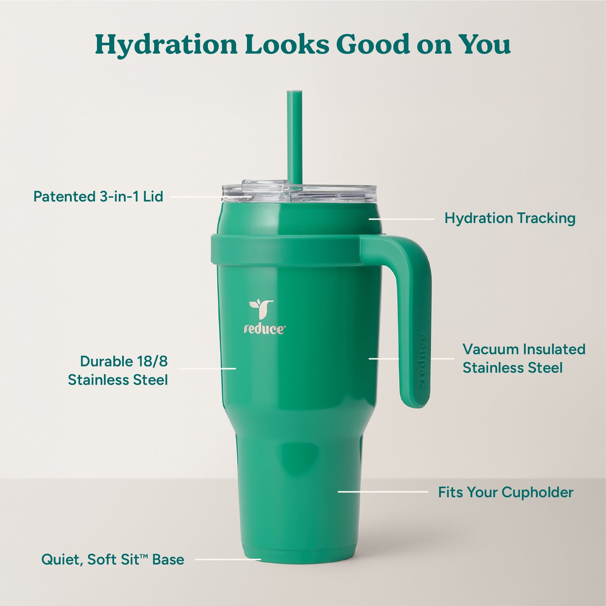 cold1-40-oz-v7 Cold1_40oz_PalmLeaf_Infographic_2.jpg