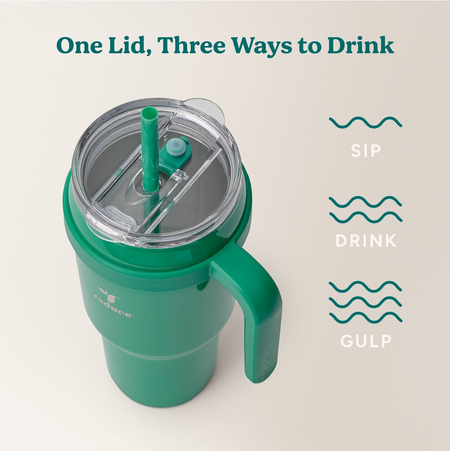 cold1-40-oz-v7 Cold1_40oz_PalmLeaf_Infographic_3.jpg