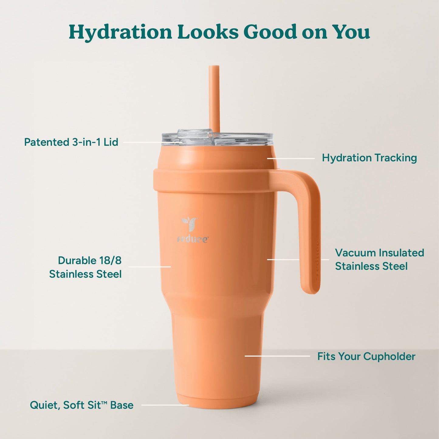cold1-40-oz-v7 Cold1_40oz_Papaya_Infographic_2.jpg