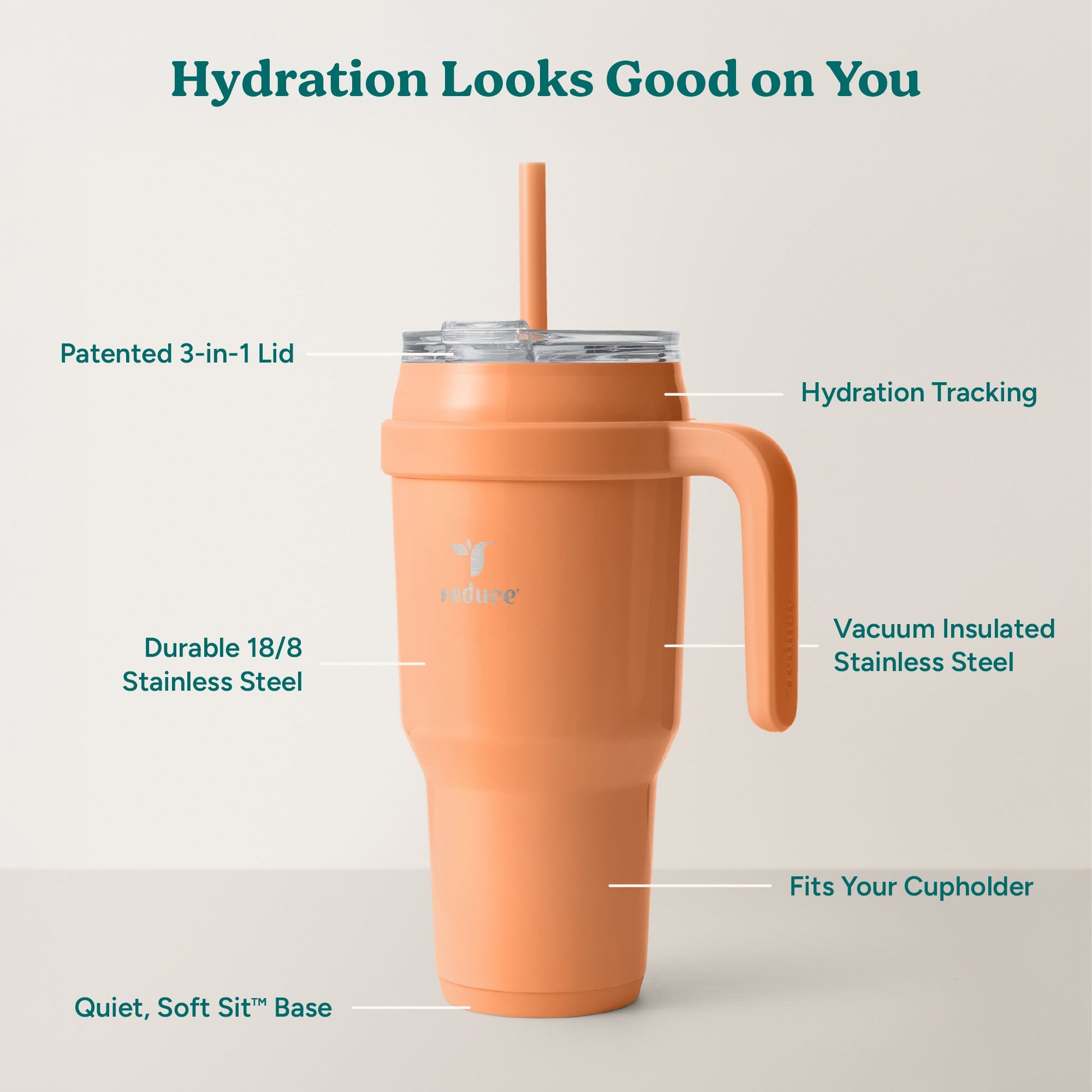 cold1-40-oz-v7 Cold1_40oz_Papaya_Infographic_2.jpg