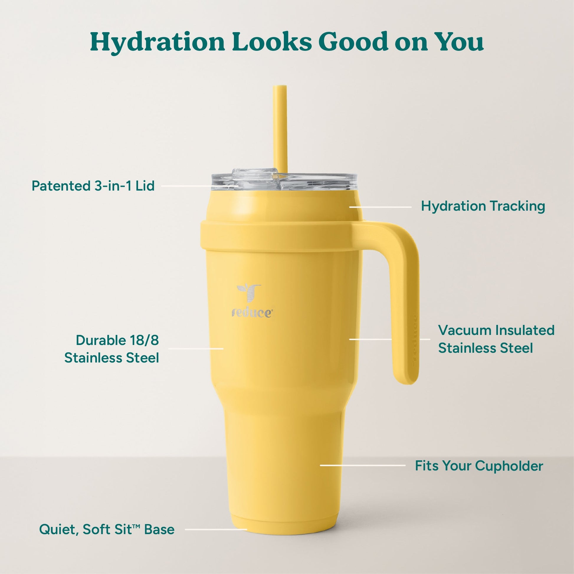 cold1-40-oz-v7 Cold1_40oz_Pineapple_Infographic_2.jpg