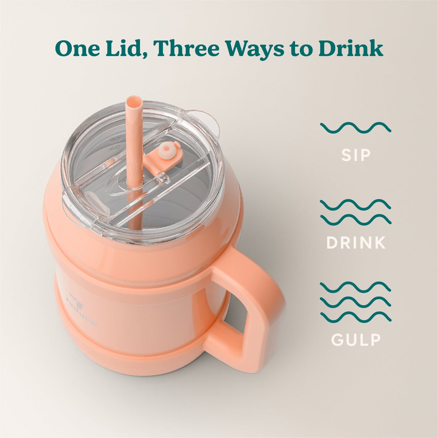 cold1-desktop-50-oz-q9 Cold1_50oz_Desktop_Sedona_Infographic_3.jpg